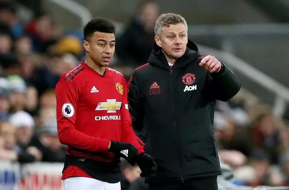 比利时的 比利时的